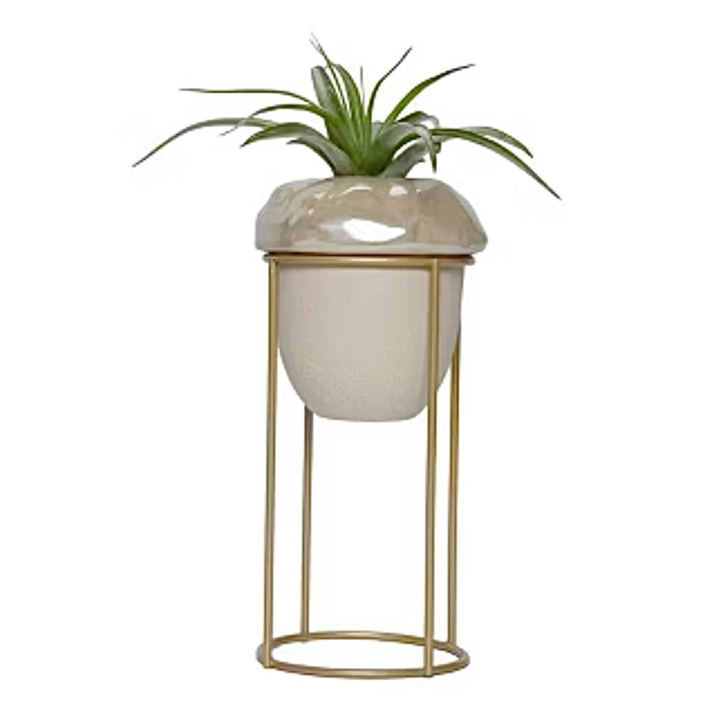Oaknut Cream Vase